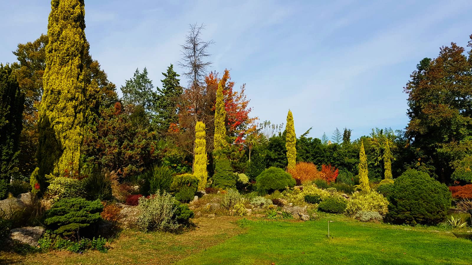 karaca-arboretum-vakfi-yatay-004.jpg